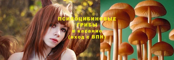 шишки Красноперекопск