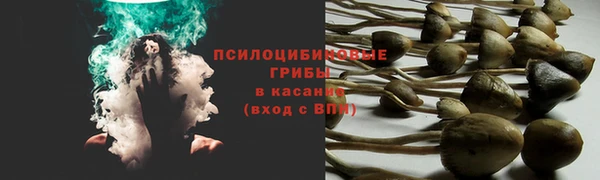 шишки Красноперекопск