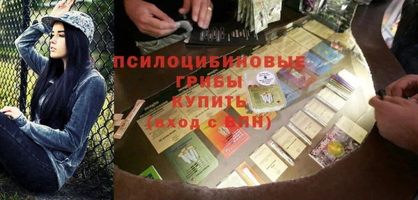 шишки Красноперекопск
