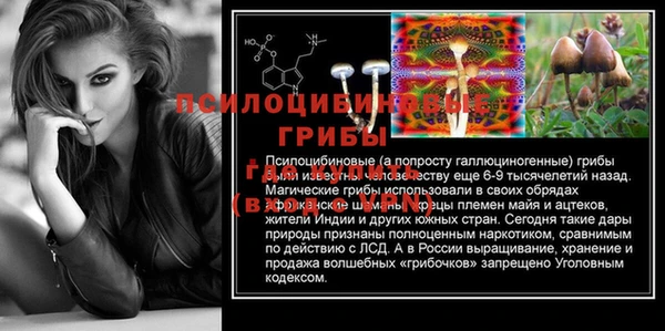 ПСИЛОЦИБИНОВЫЕ ГРИБЫ Краснотурьинск