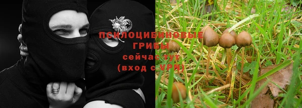 каннабис Краснослободск