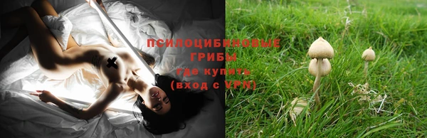 шишки Красноперекопск
